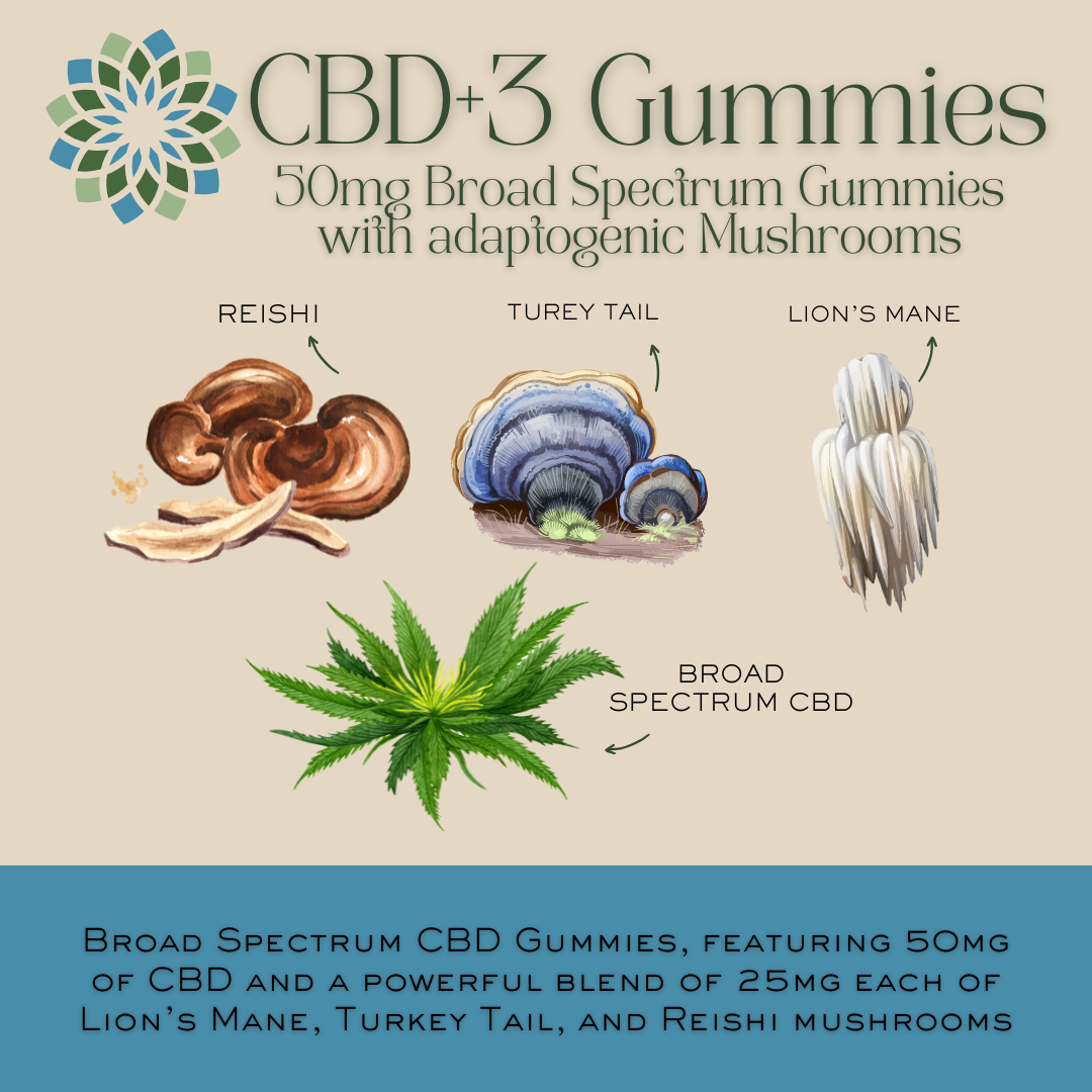 Broad Spectrum CBD Gummies with Adaptogenic Mushrooms