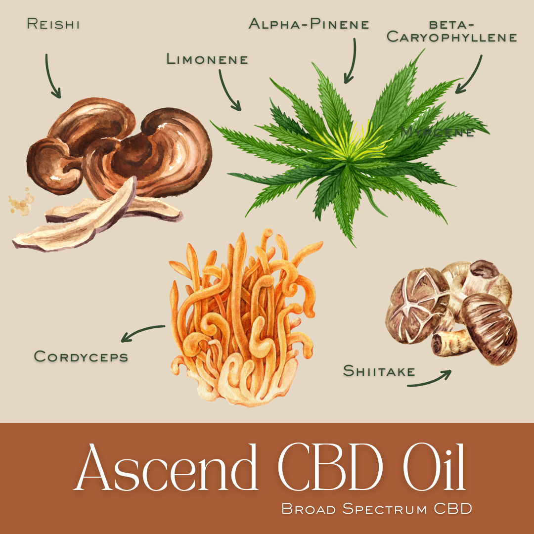 Ascend Uplifting CBD Oil