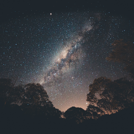 Rest Restored, A Community Story Featuring Starlight.