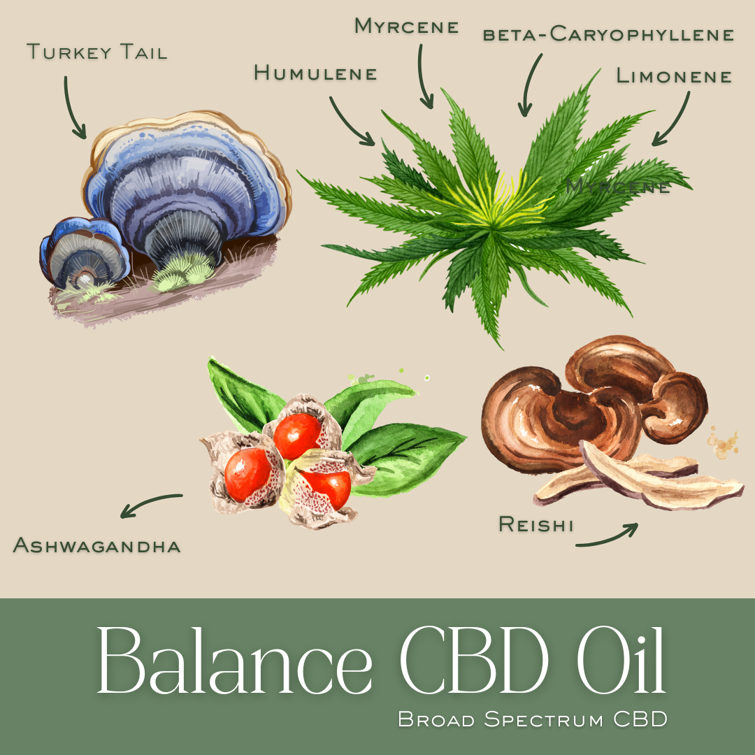 Balance Immune Support CBD Oil