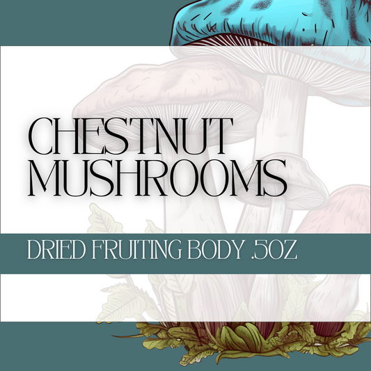 Chestnut Mushrooms Dried Fruiting Body .5oz