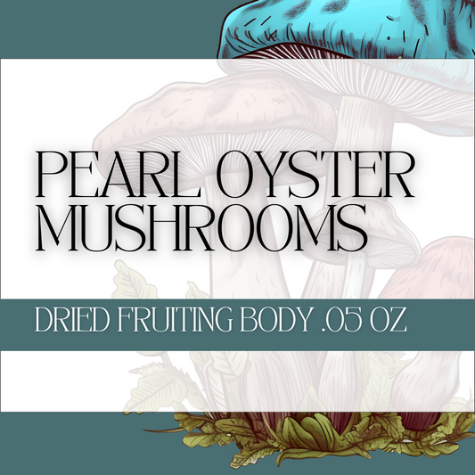 Pearl Oyster Mushrooms Fruiting Body .5oz