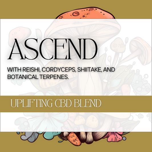 Ascend Uplifting CBD Oil