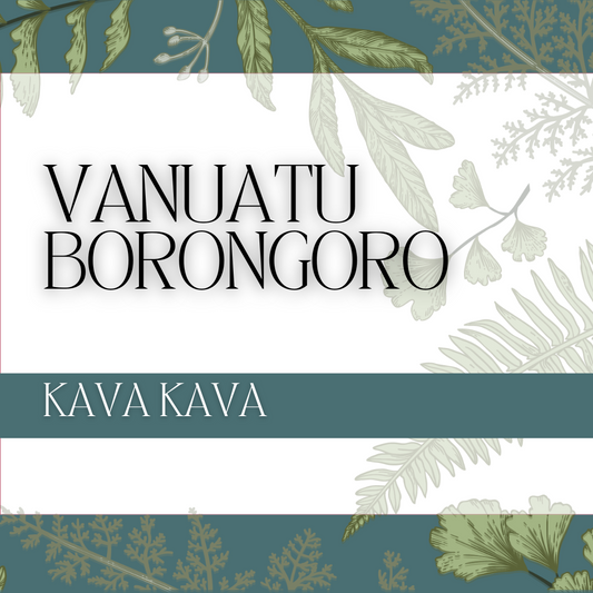 Vanuatu Borongoro Kava Kava